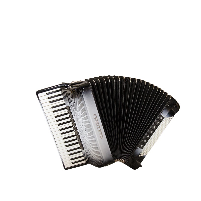 Organ de tastatură[SJP1301]：41cheie，120Nivelul，Calitate profesională