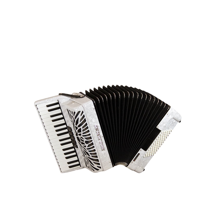 Organ de tastatură[SJP1306]：34cheie，72Bas，Calitate profesională