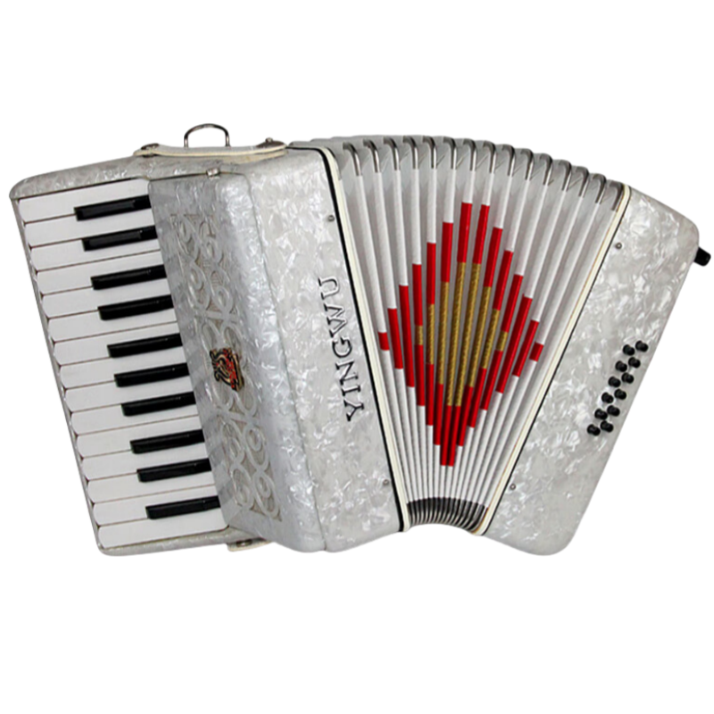 Organ Papagal[YW1117]：25cheie，12Bas，Calitate profesională