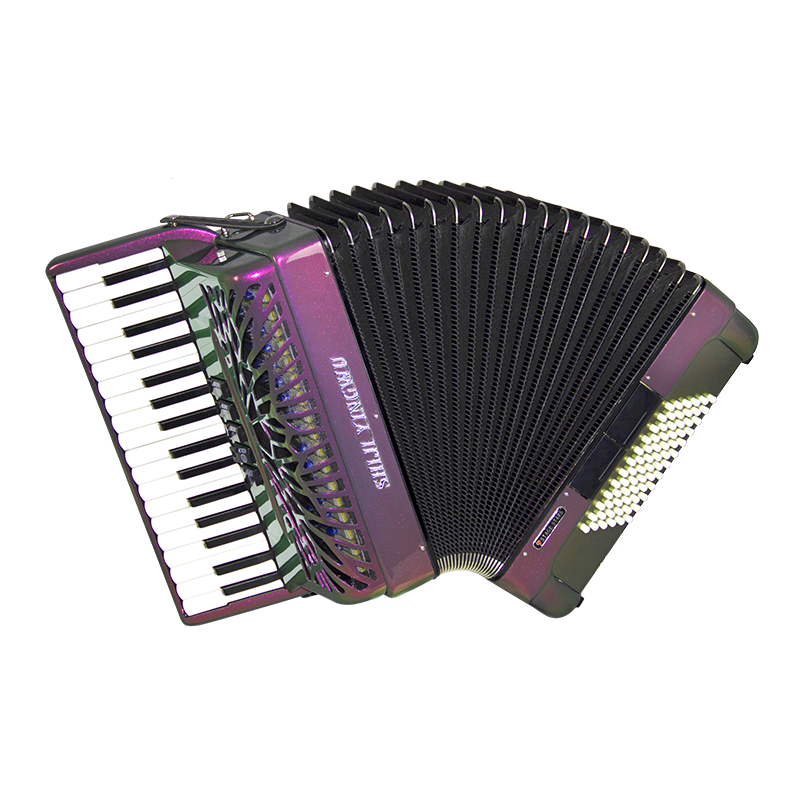 Organ de tastatură[SJP1306]：34cheie，72Bas，Calitate profesională